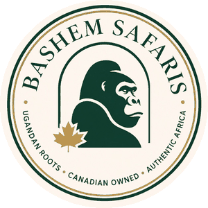 Bashem Safaris
