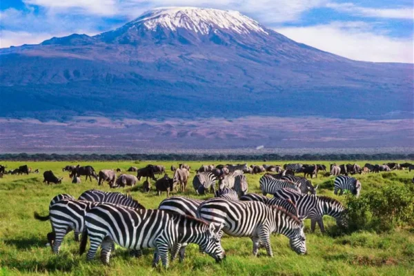 6 Days Amboseli Nakuru & Mara