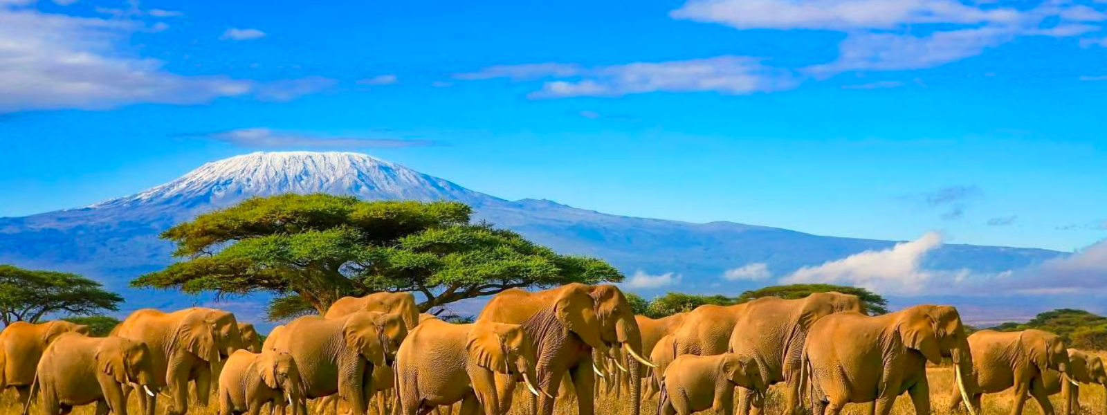 Tanzania