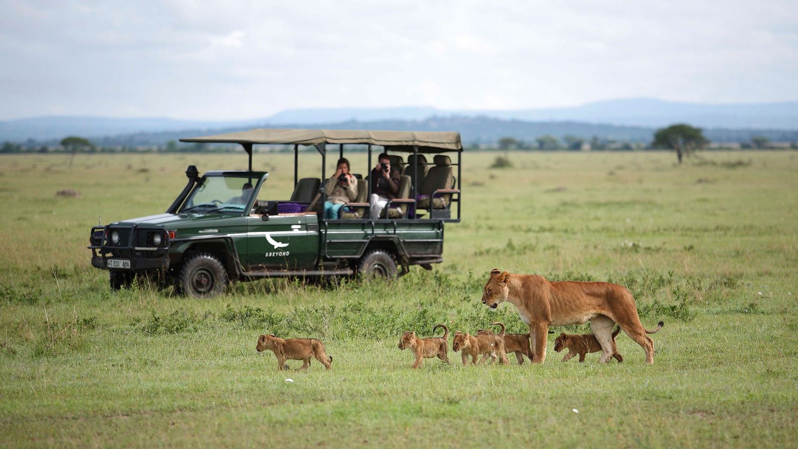 Why Book a Private Safari Instead of Group Tours in East Africa?