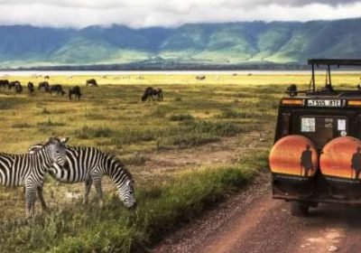 Ngorongoro Crater Safari: Africa’s Most Extraordinary Wildlife Experience